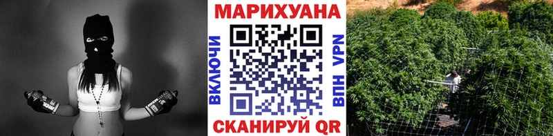 Купить  Аркадак  Конопля тримм 